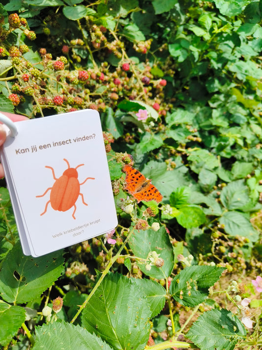 Avonturenkaartjes - Bos