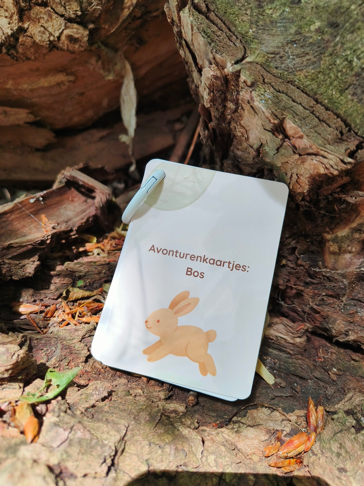 Avonturenkaartjes - Bos