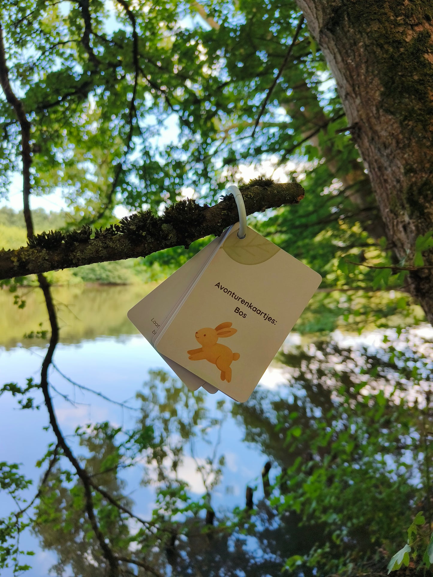 Avonturenkaartjes - Bos
