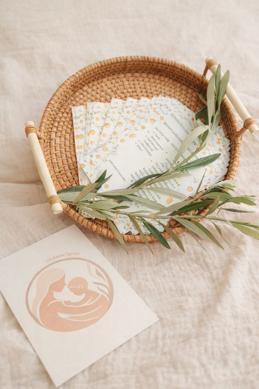 Baby & Dreumesactiviteiten speelkaarten