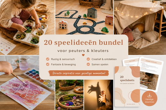 20 speelideeën bundel - 20 kant en klare speelideeën