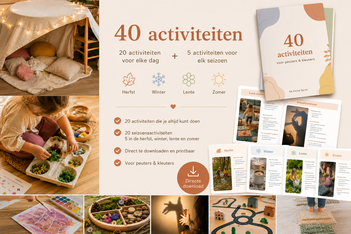 Seizoenbundel+ 40 kant-en-klare speelideeën voor het hele jaar