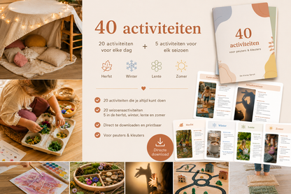 Seizoenbundel+ 40 kant-en-klare speelideeën voor het hele jaar