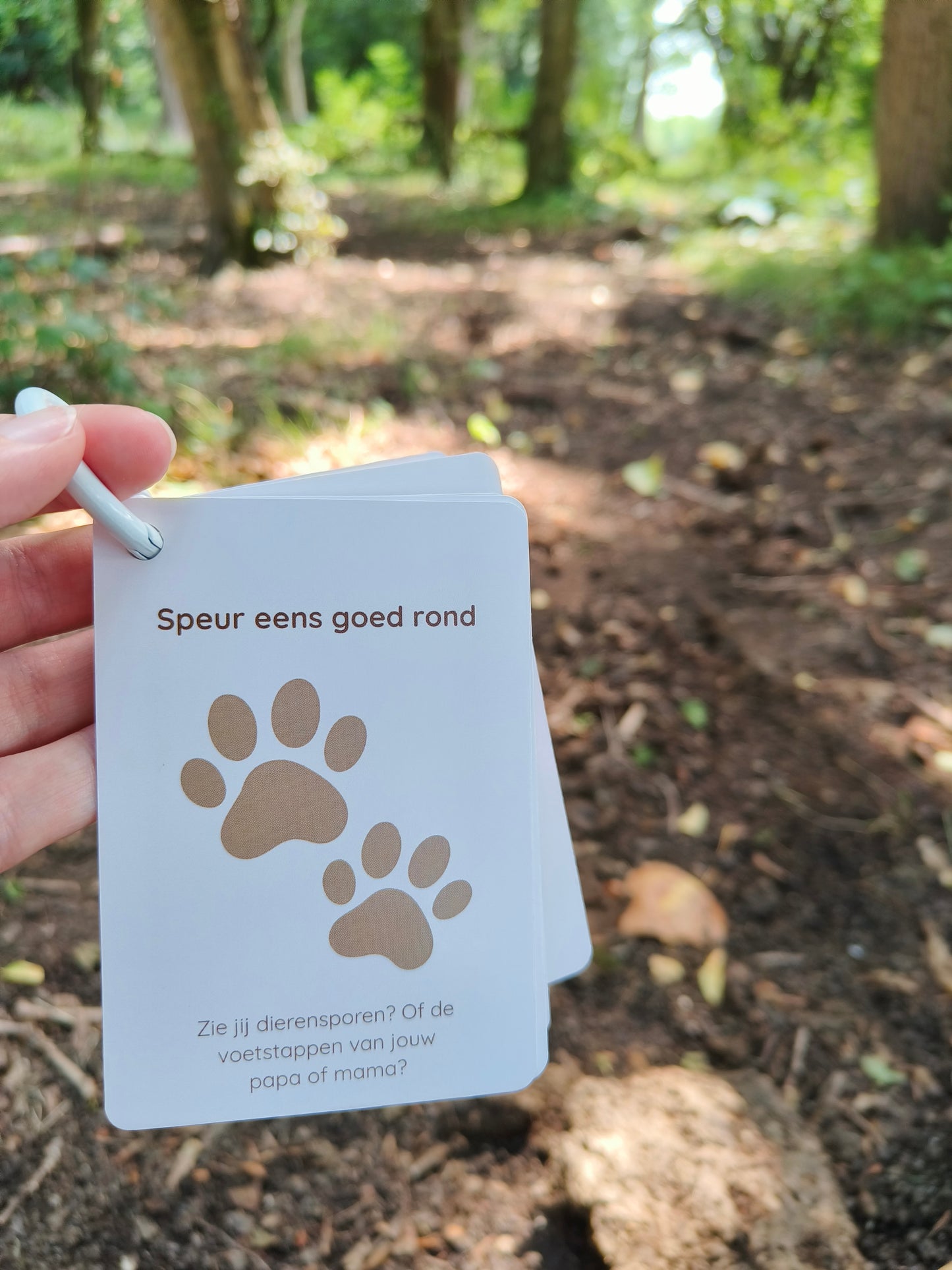 Avonturenkaartjes - Bos